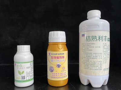 復(fù)合微生物菌劑的研發(fā)與應(yīng)用 推動生物有機(jī)肥料發(fā)展新篇章