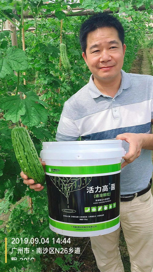 三效合一，增效顯著 活力高R菌、黃腐酸、魚蛋白復(fù)合菌劑引領(lǐng)微生物肥料新突破